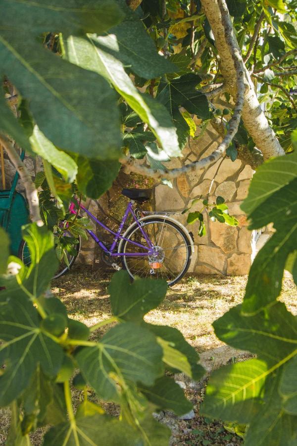Apartmani Alic Šibenik Exteriör bild